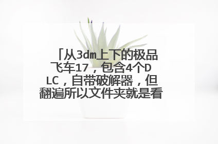 从3dm上下的极品飞车17,包含4个DLC,自带破解器,但翻遍所以文件夹就是看不到Save文件夹