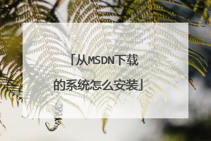 从MSDN下载的系统怎么安装
