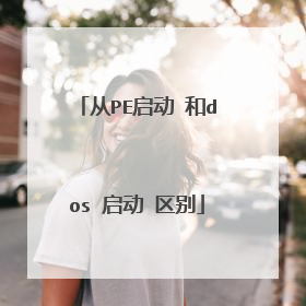 从PE启动 和dos 启动 区别