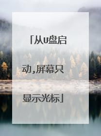 从U盘启动,屏幕只显示光标