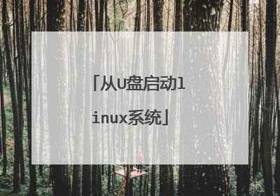 从U盘启动linux系统
