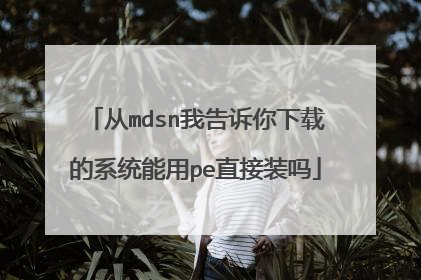 从mdsn我告诉你下载的系统能用pe直接装吗