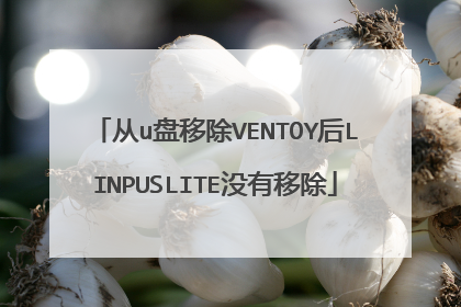 从u盘移除VENTOY后LINPUSLITE没有移除