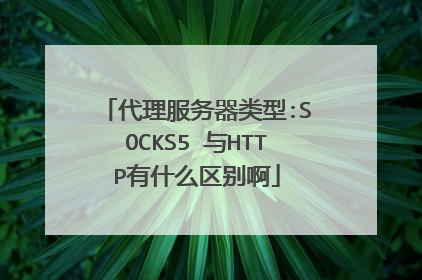 代理服务器类型:SOCKS5 与HTTP有什么区别啊