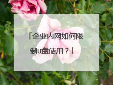 企业内网如何限制U盘使用？