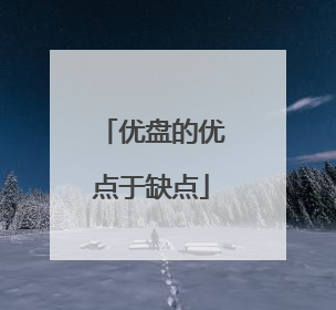 优盘的优点于缺点