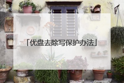 优盘去除写保护办法