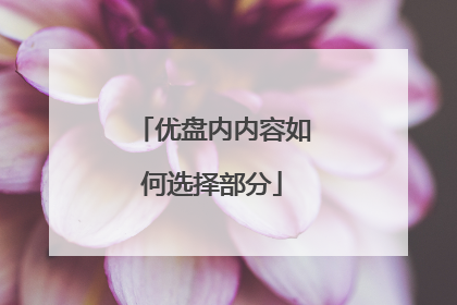 优盘内内容如何选择部分