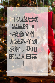 优盘启动器里的IOS镜像文件无法选择到求解,我用的是大白菜