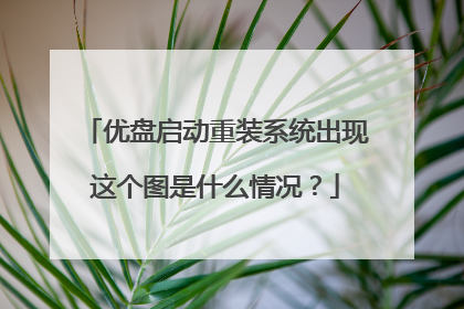 优盘启动重装系统出现这个图是什么情况?