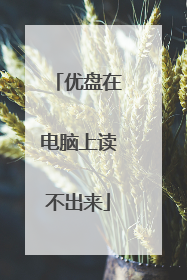 优盘在电脑上读不出来