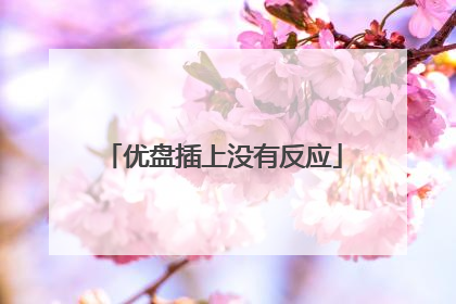优盘插上没有反应
