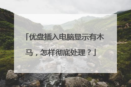 优盘插入电脑显示有木马,怎样彻底处理?