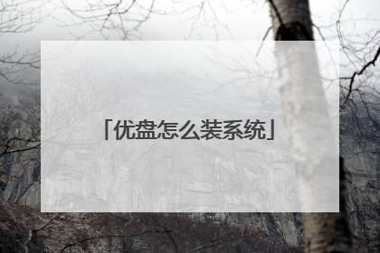 优盘怎么装系统