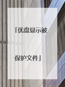 优盘显示被保护文件