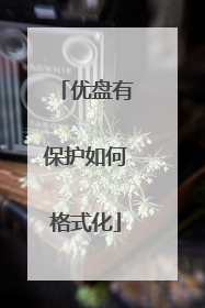 优盘有保护如何格式化