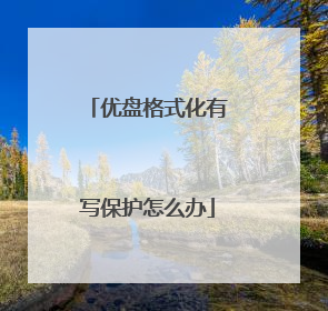 优盘格式化有写保护怎么办
