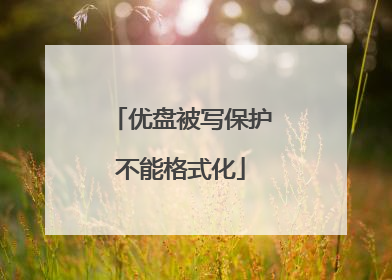 优盘被写保护不能格式化