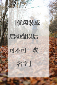 优盘装成启动盘以后可不可一改名字