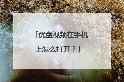 优盘视频在手机上怎么打开?
