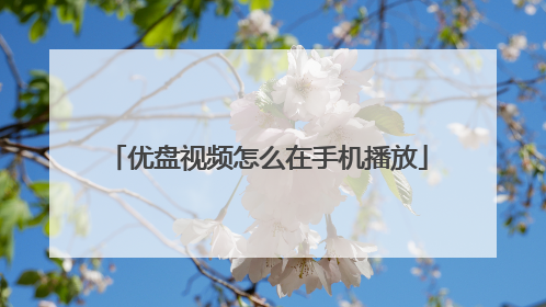 优盘视频怎么在手机播放