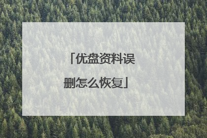优盘资料误删怎么恢复
