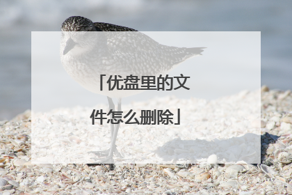 优盘里的文件怎么删除