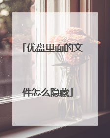 优盘里面的文件怎么隐藏