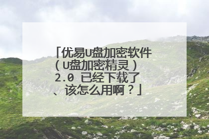优易U盘加密软件(U盘加密精灵) 2.0 已经下载了、该怎么用啊?