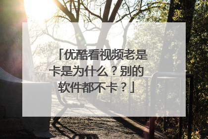 优酷看视频老是卡是为什么?别的软件都不卡?