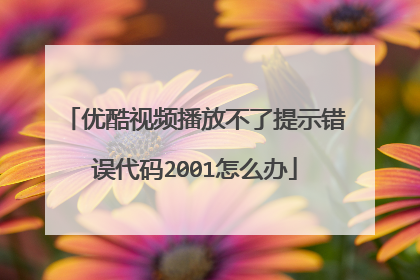 优酷视频播放不了提示错误代码2001怎么办