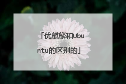 优麒麟和Ubuntu的区别的