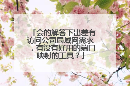 会的解答下出差有访问公司局域网需求,有没有好用的端口映射的工具?
