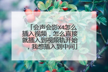 会声会影X4怎么插入视频,怎么直接就插入到视频轨开始,我想插入到中间