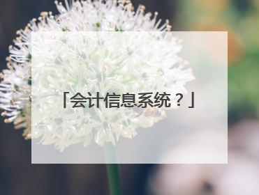 会计信息系统?