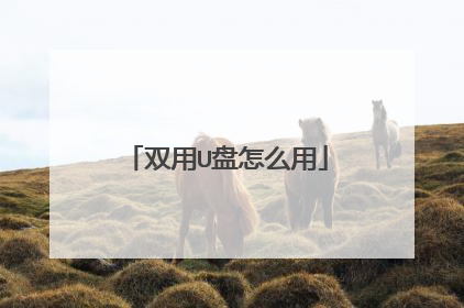 双用U盘怎么用