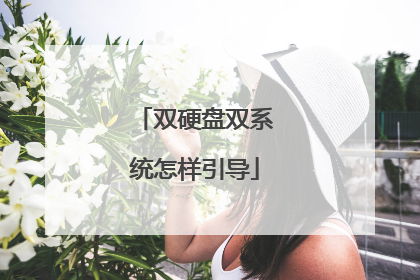 双硬盘双系统怎样引导