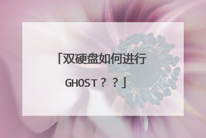 双硬盘如何进行GHOST？？