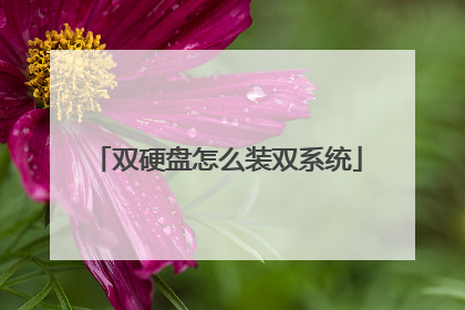 双硬盘怎么装双系统