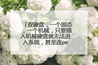 双硬盘,一个固态,一个机械,只要插入机械硬盘就无法进入系统,甚至连pe也不行,求解