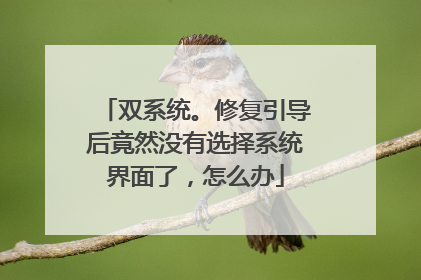 双系统。修复引导后竟然没有选择系统界面了，怎么办