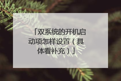 双系统的开机启动项怎样设置（具体看补充）