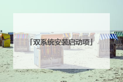 双系统安装启动项