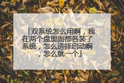 双系统怎么用啊,我在两个盘里面都各装了系统,怎么选择启动啊,怎么就一个