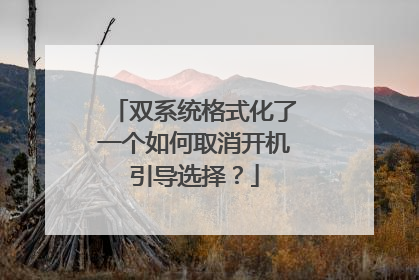双系统格式化了一个如何取消开机引导选择？