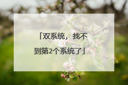 双系统, 找不到第2个系统了