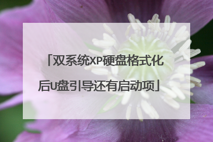 双系统XP硬盘格式化后U盘引导还有启动项