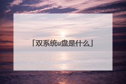 双系统u盘是什么