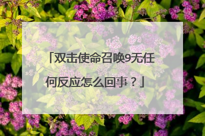 双击使命召唤9无任何反应怎么回事?