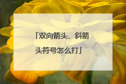 双向箭头、斜箭头符号怎么打